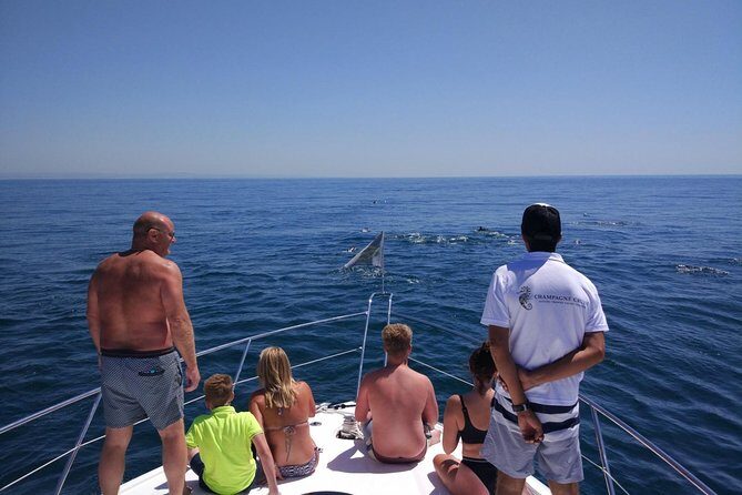 Private Yacht Hire in The Algarve - Majestic - Who Will Love This Experience?