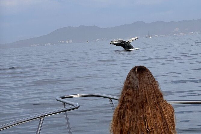 Private Yacht, Sightseeing, Snorkeling and Private beaches - What We Love About This Tour