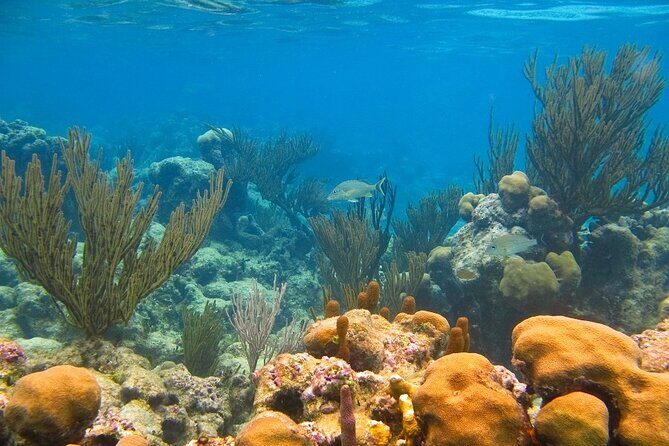 Private Yal-ku and Akumal Experience - The Sum Up