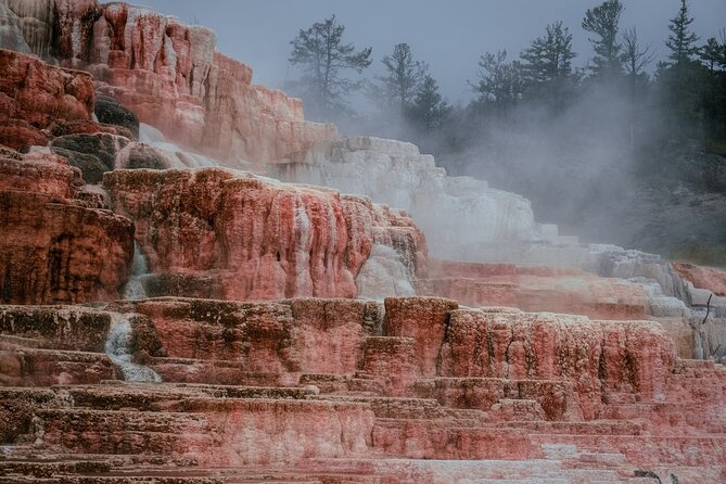 Private Yellowstone Day Tour: Up to 6 (9 a Van a Day) - Inclusions and Amenities