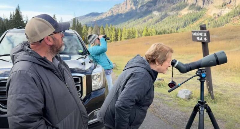 Private Yellowstone Winter Safari and Wolf Watching Tour - Key Points