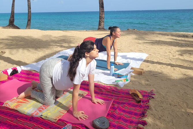 Private Yoga Class at the Beach With Transportation From San Juan - Reviews