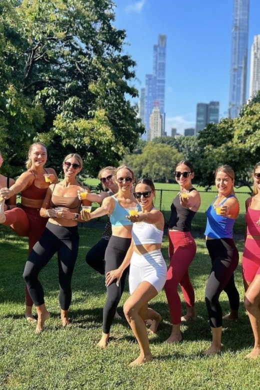 Private Yoga Class in Central Park - Meeting Point and Accessibility