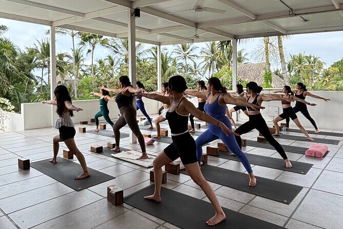 Private Yoga Classes and Experiences in Sayulita Mexico - Why This Yoga Experience Is Worth Considering