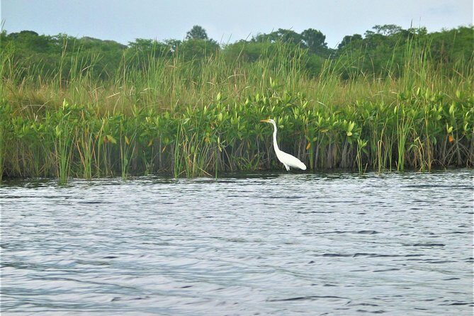 Private YS Falls and Black River Safari from Montego Bay and Grand Palladium - FAQs