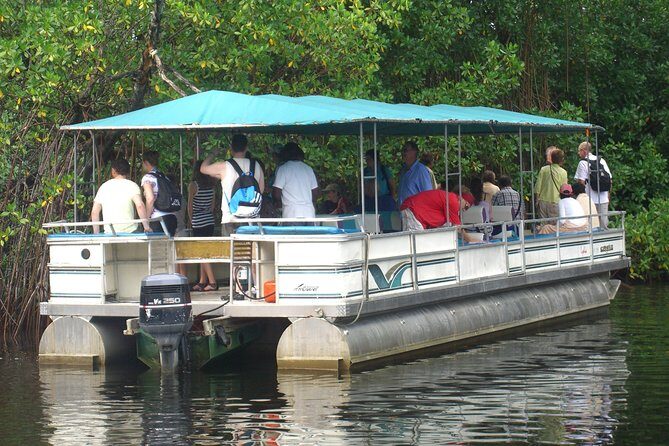 Private YS Falls and Black River Safari from Negril - Key Points