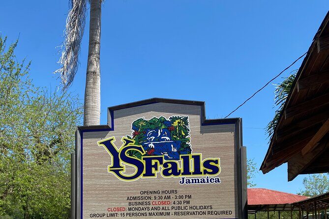 Private YS Falls and Zipline Tour from Montego Bay - Key Points