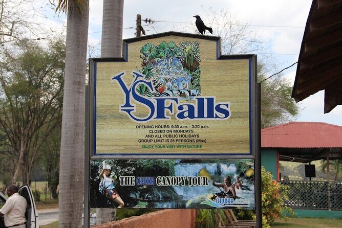 Private YS Falls & Appleton Estate Rum tour from Montego Bay - Final Thoughts: Who Should Consider This Tour?