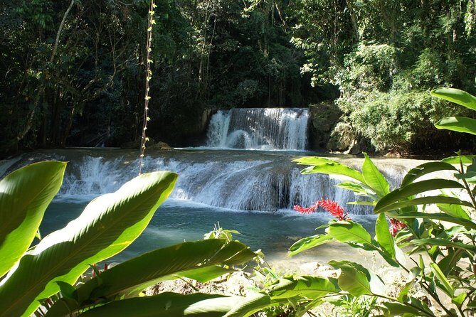 [PRIVATE] YS Falls from Negril - Entrance fees + Lunch Included - The Journey to YS Falls: What You Can Expect