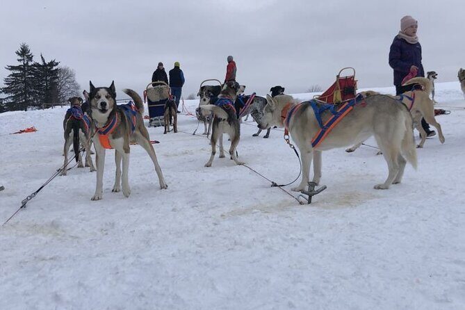 Private Zakopane and Thermal Pools Tour from Krakow - Key Points