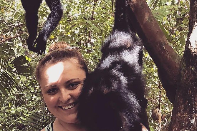PRIVATE Zipline & Baboon Sanctuary Experience - Transportation and Pickup