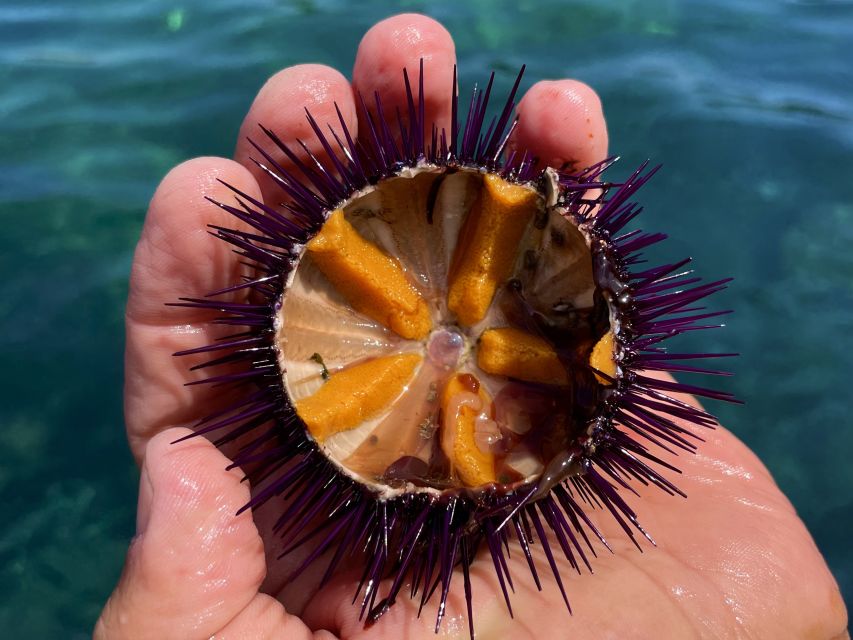 Procida: Boat Tour With Swimming Stops and Underwater Photos - Included in the Tour