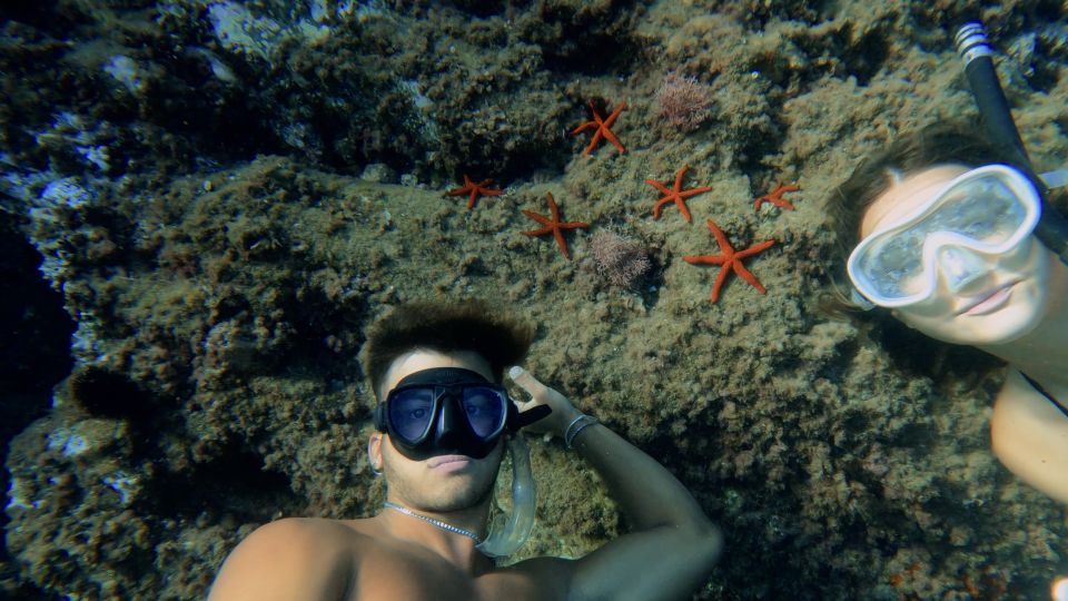 Procida: Boat Tour With Swimming Stops and Underwater Photos - Exploring the Underwater World
