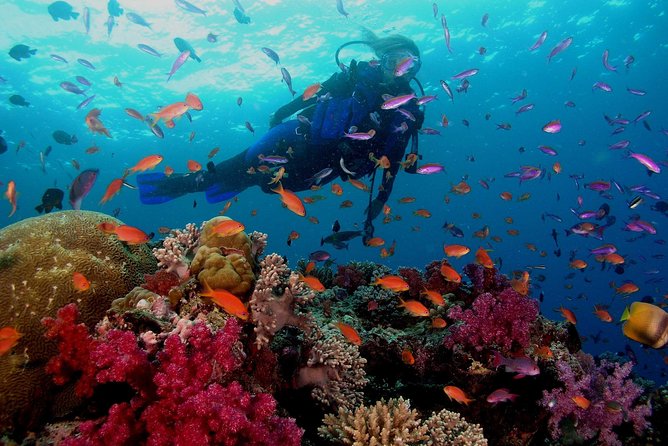 Professional 2 Stops Scuba Diving Full Day Boat Trip - Hurghada - Booking and Cancellation Policy
