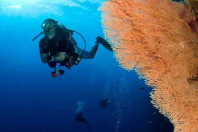 Professional 2 Stops Scuba Diving Full Day Boat Trip - Hurghada - Frequently Asked Questions