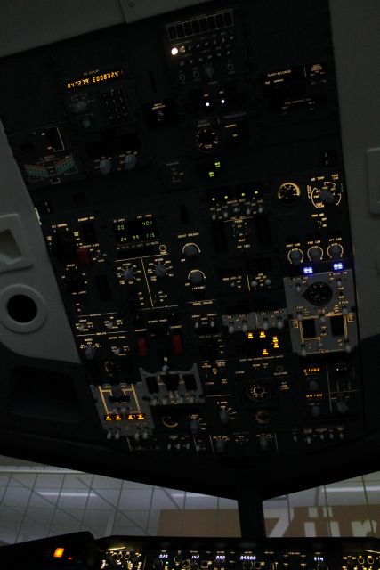Professional Boeing 737-800 Simulator - 100 Minutes - Reservation Process