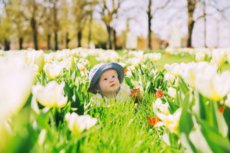 Professional Outdoor Baby Photoshoot in Amsterdam - Good To Know