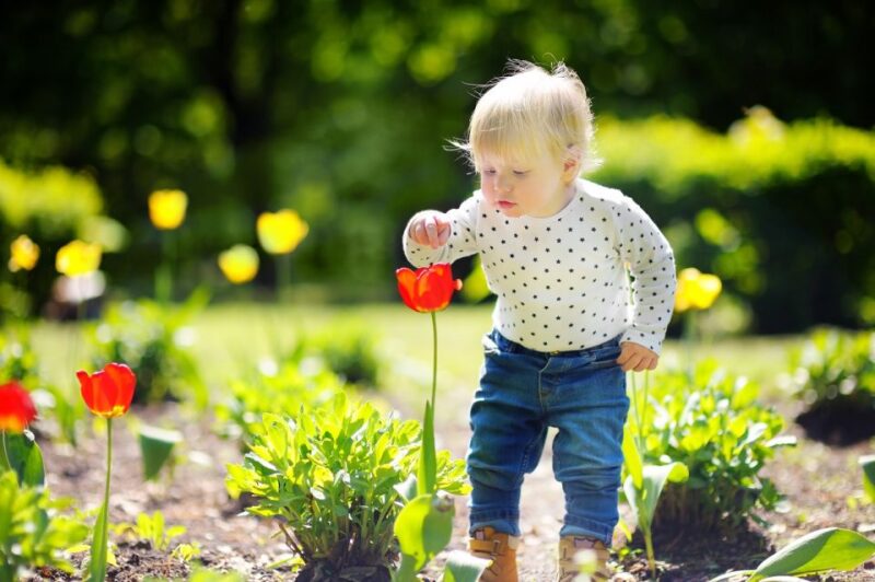 Professional Outdoor Baby Photoshoot in Amsterdam - Photoshoot Overview