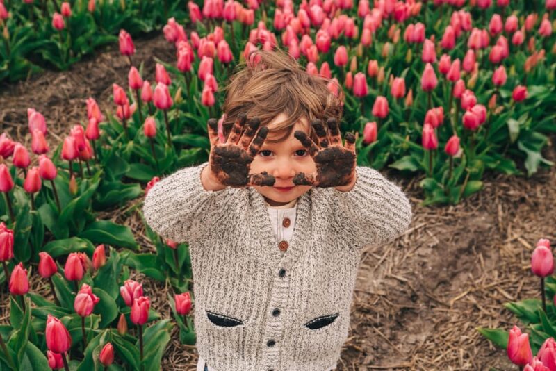 Professional Photoshoot at Tulip Fields and Keukenhof - Booking and Cancellation Policy