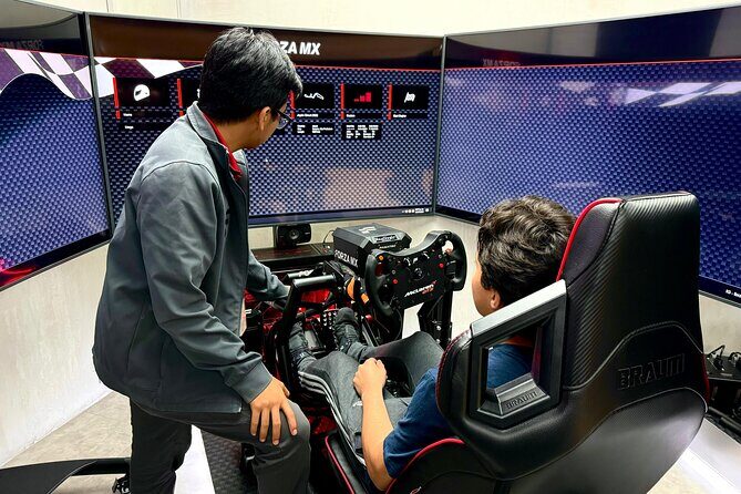 Professional racing simulator - The Experience Itself: Details and Highlights