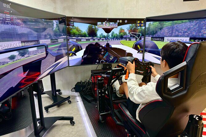 Professional racing simulator - Practical Tips for Visitors