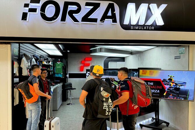 Professional racing simulator - Final Thoughts