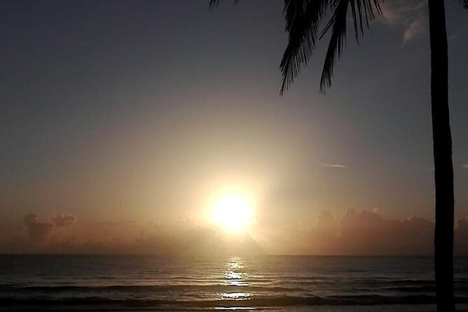 Professional surf lessons Dominican Republic, Cabarete, Encuentro - A Closer Look at the Surf Experience in Cabarete