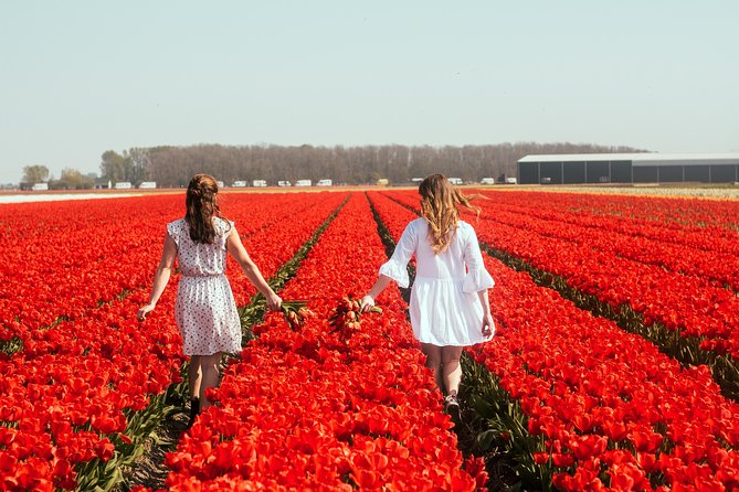 Professional Tulip Fields Photo Session & Bike Tour Near Amsterdam - What to Expect