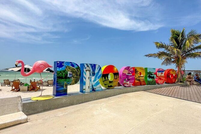 Progreso, Flamingos, Cenote, and Salt Ponds adventure from Merida - Experience Breakdown: A Deep Dive into the Day
