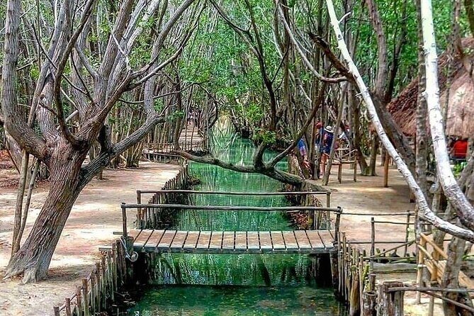 Progreso, Isla Columpios and El Corchito from Merida - The Itinerary: What to Expect at Each Stop