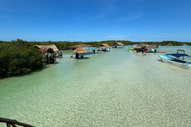 Progreso, Isla Columpios and El Corchito from Merida - Practical Tips for Participants