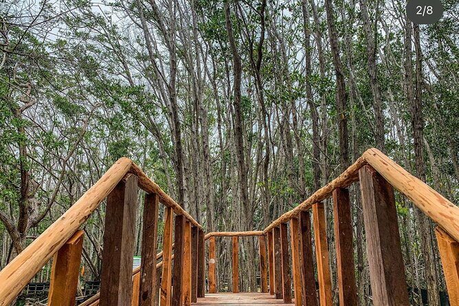 Progreso, Isla Columpios and El Corchito from Merida - FAQs