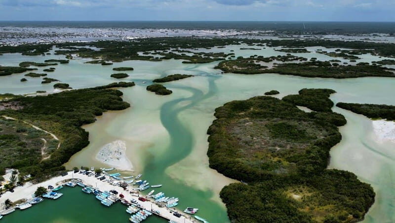 Progreso: Isla Columpios and Pig Beach Club Day Pass - Exploring the Itinerary in Detail