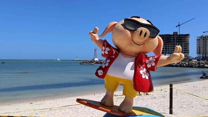 Progreso: Isla Columpios and Pig Beach Club Day Pass - Why This Tour Works for You