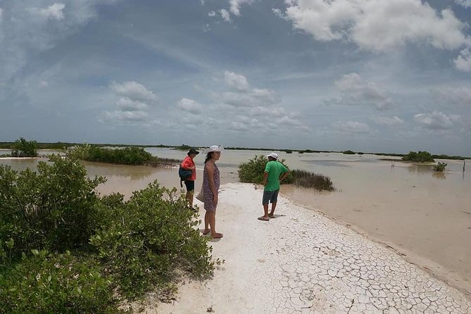 Progreso Port, Aguas Rosas, and Cenote. - Accessibility Considerations