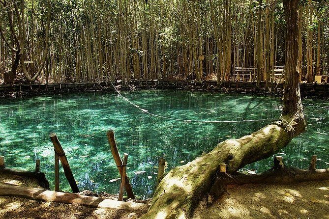 Progreso segway Sightseeing and Beach Break Adventure Excursion - An In-Depth Look at the Tour Experience