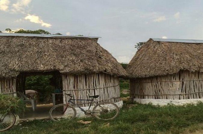 Progreso Shore Excursion: Small Group Shopping & Merida City Tour - The Sum Up