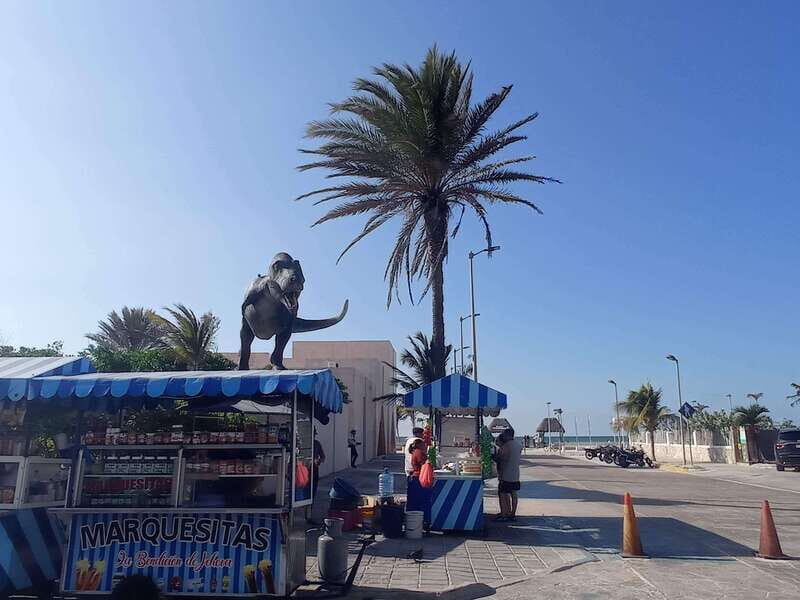 Progreso: stroll around town and savor the local cuisine - Frequently Asked Questions (FAQs)