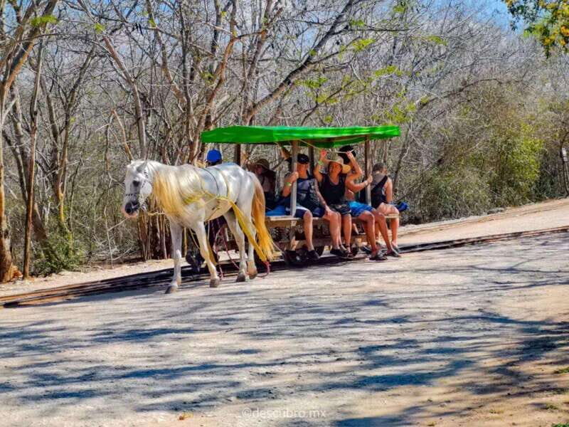 Progress: Excursion to the Santa Barbara Homun cenotes - The Practical Side of the Tour