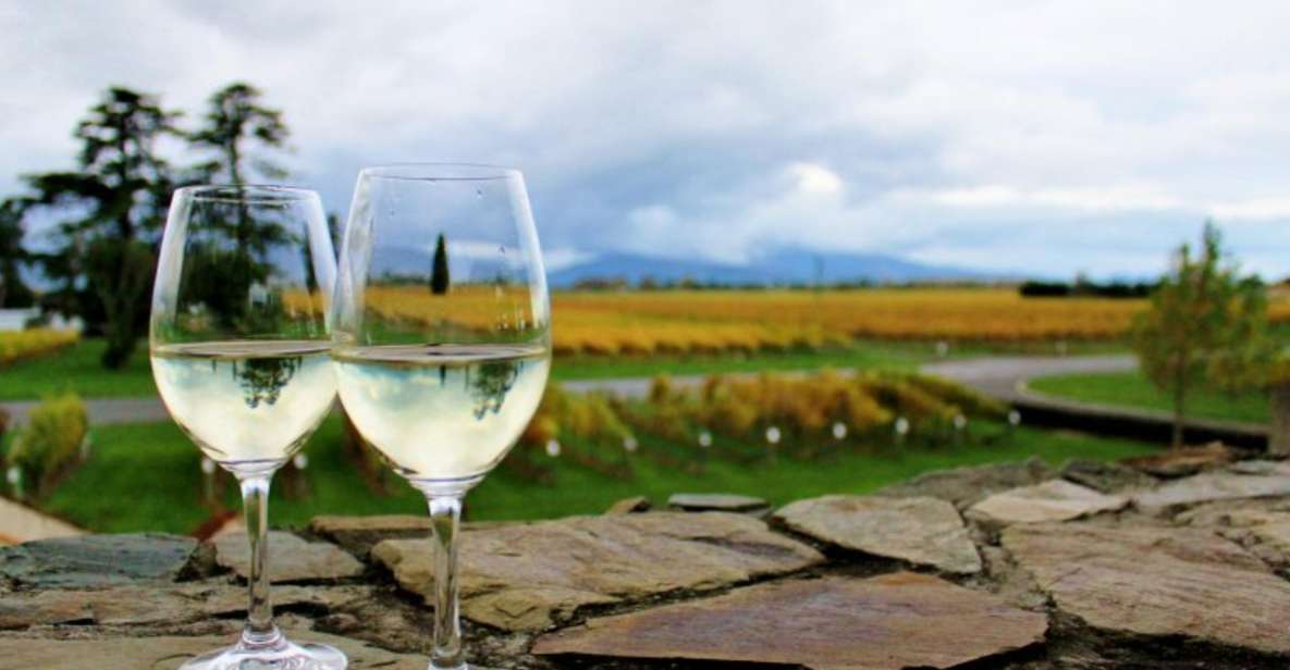 Progressive Wine & Gourmet Trail From Blenheim or Picton - Key Points
