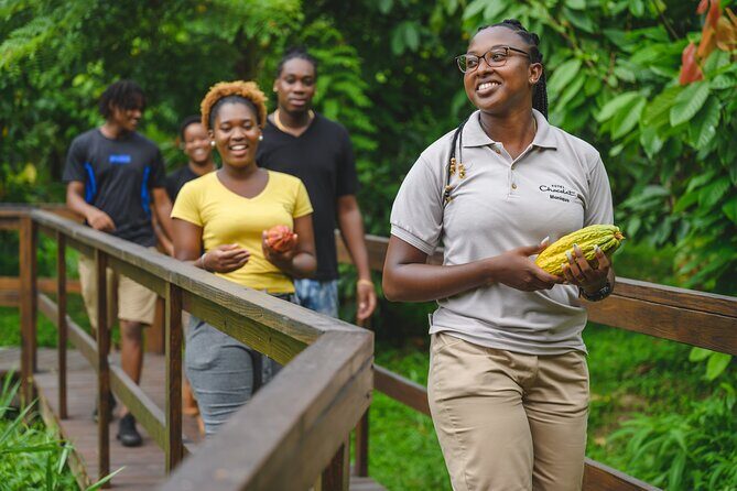 Project Chocolat Tree to Bar Tour at Hotel Chocolat Saint Lucia - The Sum Up