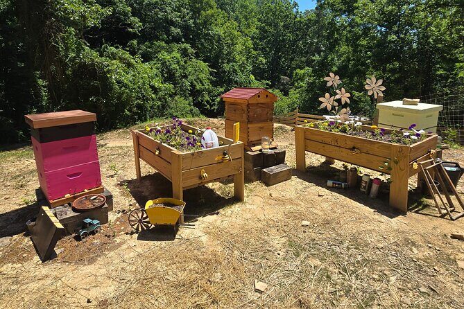Promise Land Bee Farm Private Tour in Charleston - Who Will Enjoy This Tour?