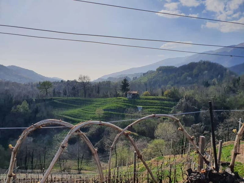 Prosecco Hills Conegliano Valdobbiadene Wine Tour - Who Will Love This Tour?