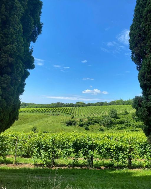 Prosecco Hills Private Tour All Inclusive. 2 Wineries+Lunch - Lunch at Local Restaurant