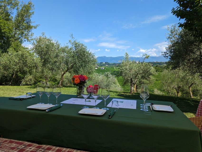 Prosecco Hills Private Tour All Inclusive. 2 Wineries+Lunch - Return Transportation