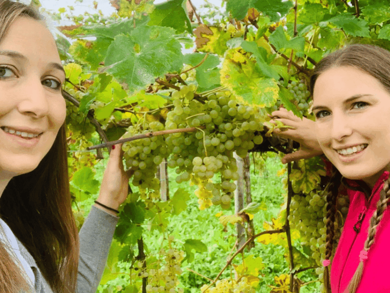 Prosecco Tasting in Countryside Winery - Vineyard Exploration