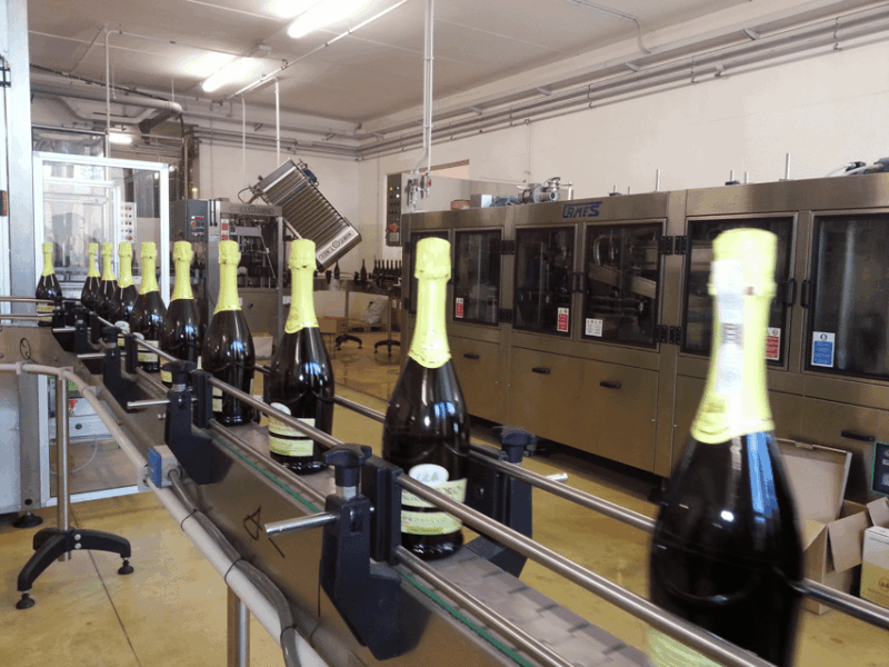 Prosecco Tasting in Countryside Winery - Winemaking Process Education