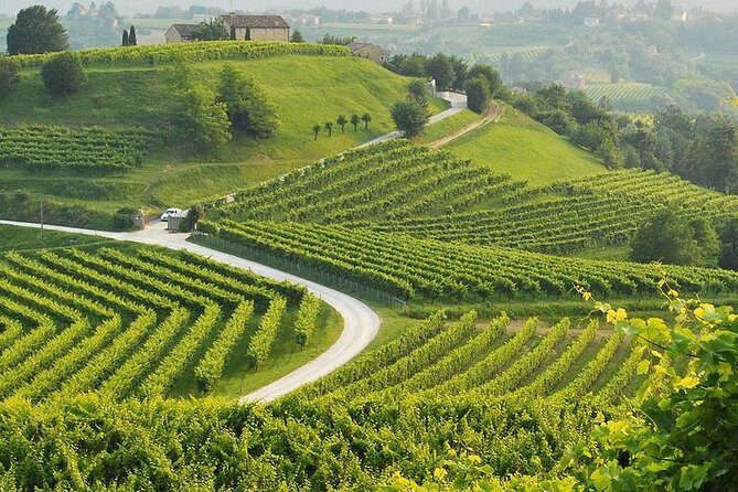 Prosecco Tour and Tasting from Venice - Practical Tips for Participants