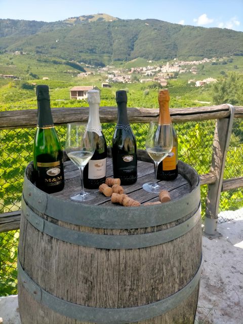 Prosecco Wine Tasting Tour. Half Day. From Venice - Cancellation Policy and Important Information