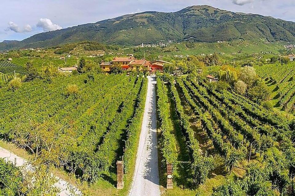 Prosecco Wine Tasting Tour. Half Day. From Venice - Recommended Essentials